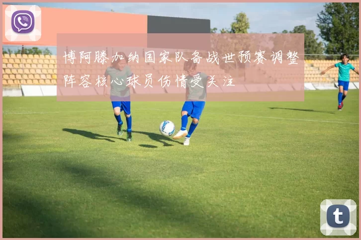 博阿滕加纳国家队备战世预赛调整阵容核心球员伤情受关注