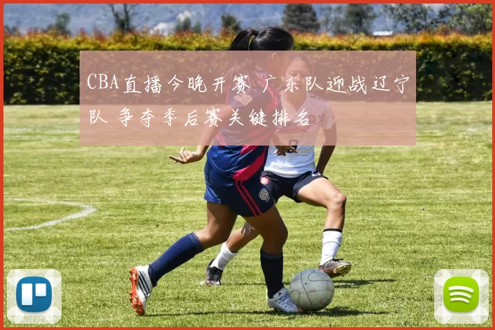 CBA直播今晚开赛 广东队迎战辽宁队 争夺季后赛关键排名