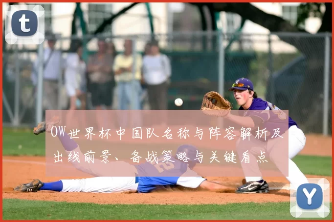 OW世界杯中国队名称与阵容解析及出线前景、备战策略与关键看点